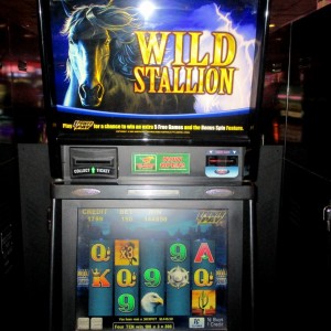 Wild stallion slot machine online, free play