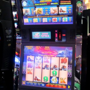 Timber Wolf Slot Machine