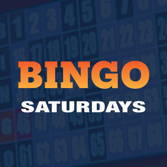 Bingo Saturdays
